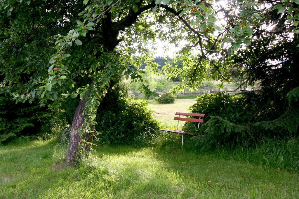 Penzion Muflon Bela nad Radbuzou Luaran gambar