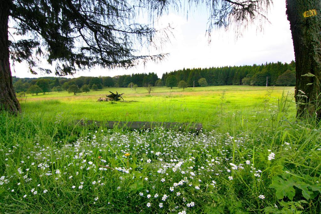Penzion Muflon Bela nad Radbuzou Luaran gambar