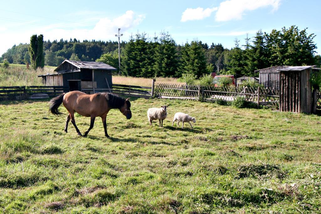 Penzion Muflon Bela nad Radbuzou Luaran gambar